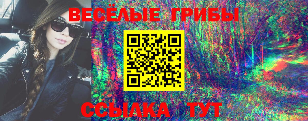 Галлюциногенные грибы Psilocybine cubensis Михайловск